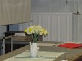 egyetemitavasz2011 196
